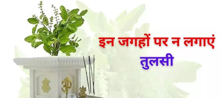 Tulsi Puja Niyam
